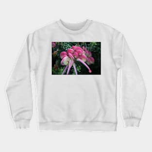 Grevillea Lanigera Crewneck Sweatshirt